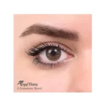 لنز رنگی رویال ویژن Royal Vision Daily Lens 11 Lumirer Hazal